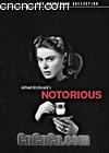 ˼
 Notorious 