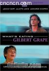 һ
 Whats Eating Gilbert Grape 